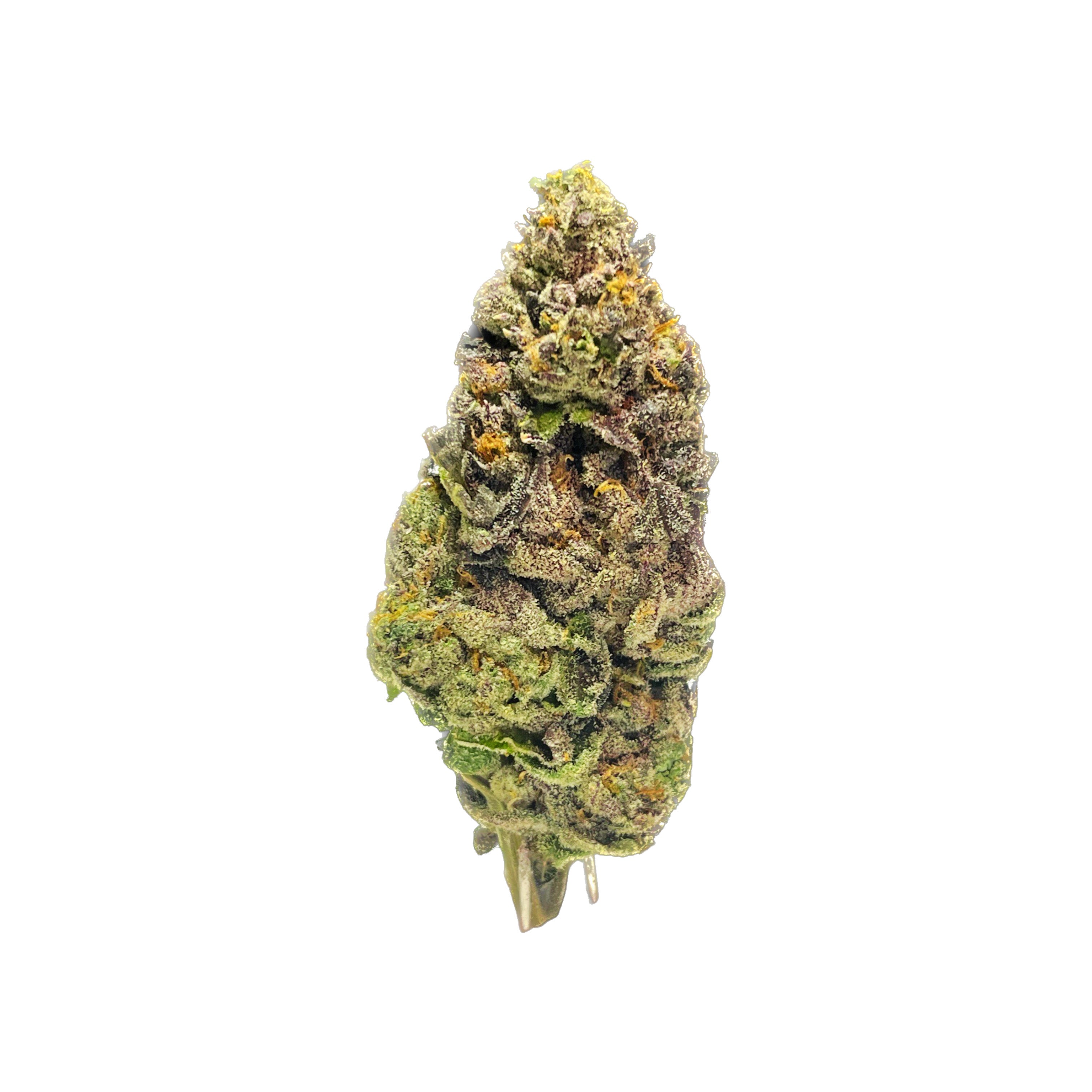 Boxcar Cannabis : Orange Creamsicle