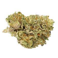 Whistler Cannabis Co. : HINDU KUSH