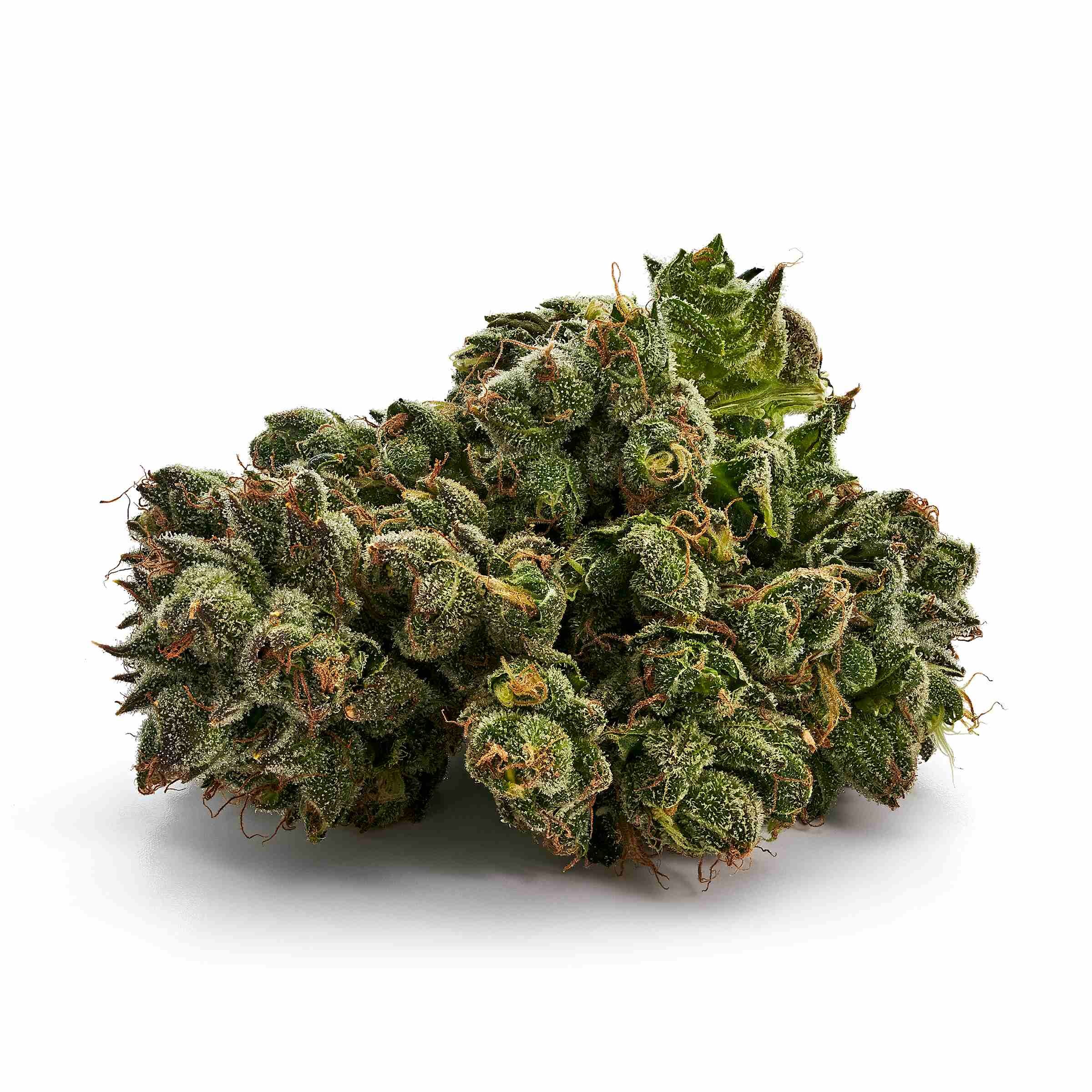 Tweed - Tweed Balmoral(Uk Cheese) - Hybrid 3.5G