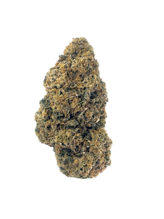 BC OZ : SHERBET COOKIES CRAFT FLOWER