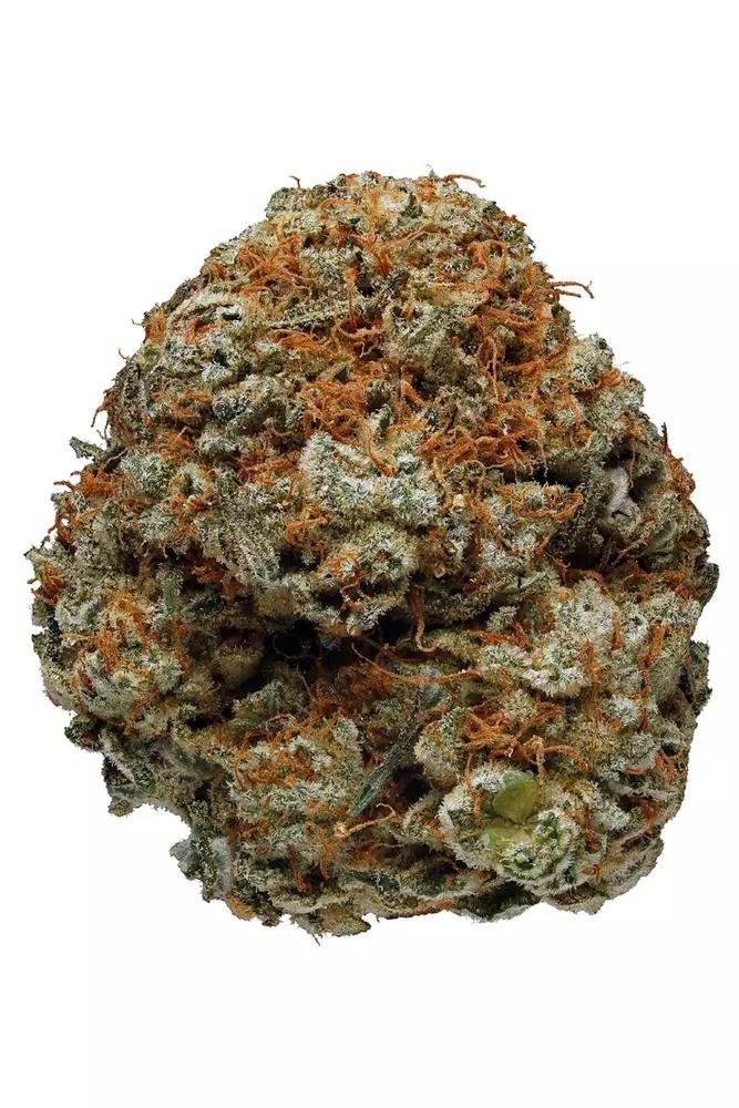 STRAIN REC : ORIGINAL GLUE