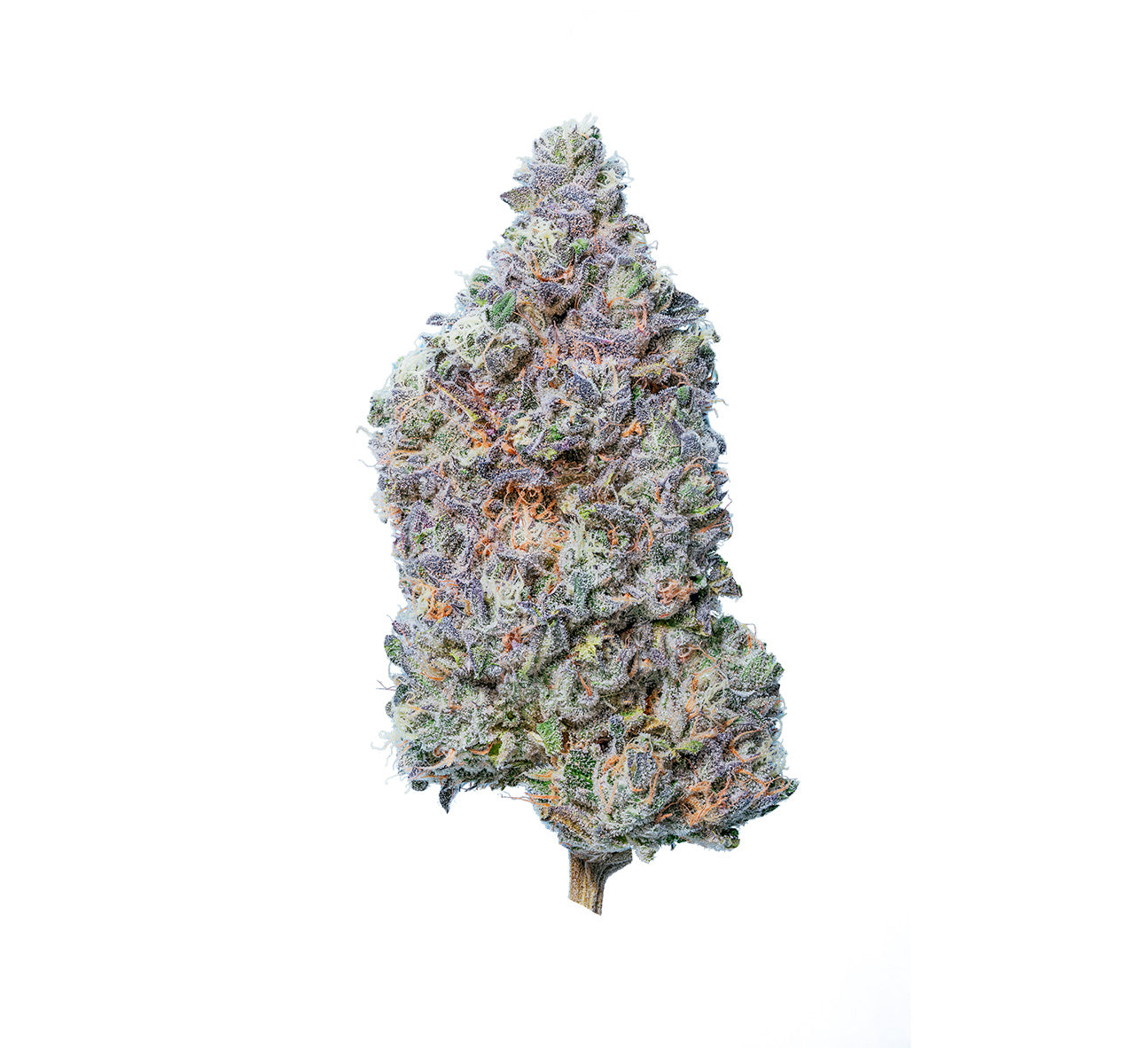 Organnicraft : MENTA LIMONE