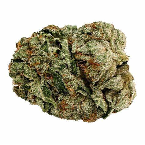 BC Black : BLACK KETTLE FARMS FROSTED KUSH CAKE PRE-ROLLS - BLACK KETTLE FARMS FROSTED KUSH CAKE PRE-ROLLS (3x.5g)