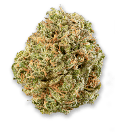 Namaste : MK ULTRA
