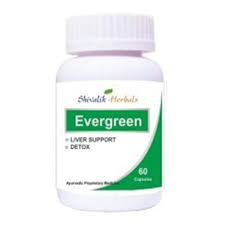 Evergreen Medicinal : SKYLARK OIL (30mL)