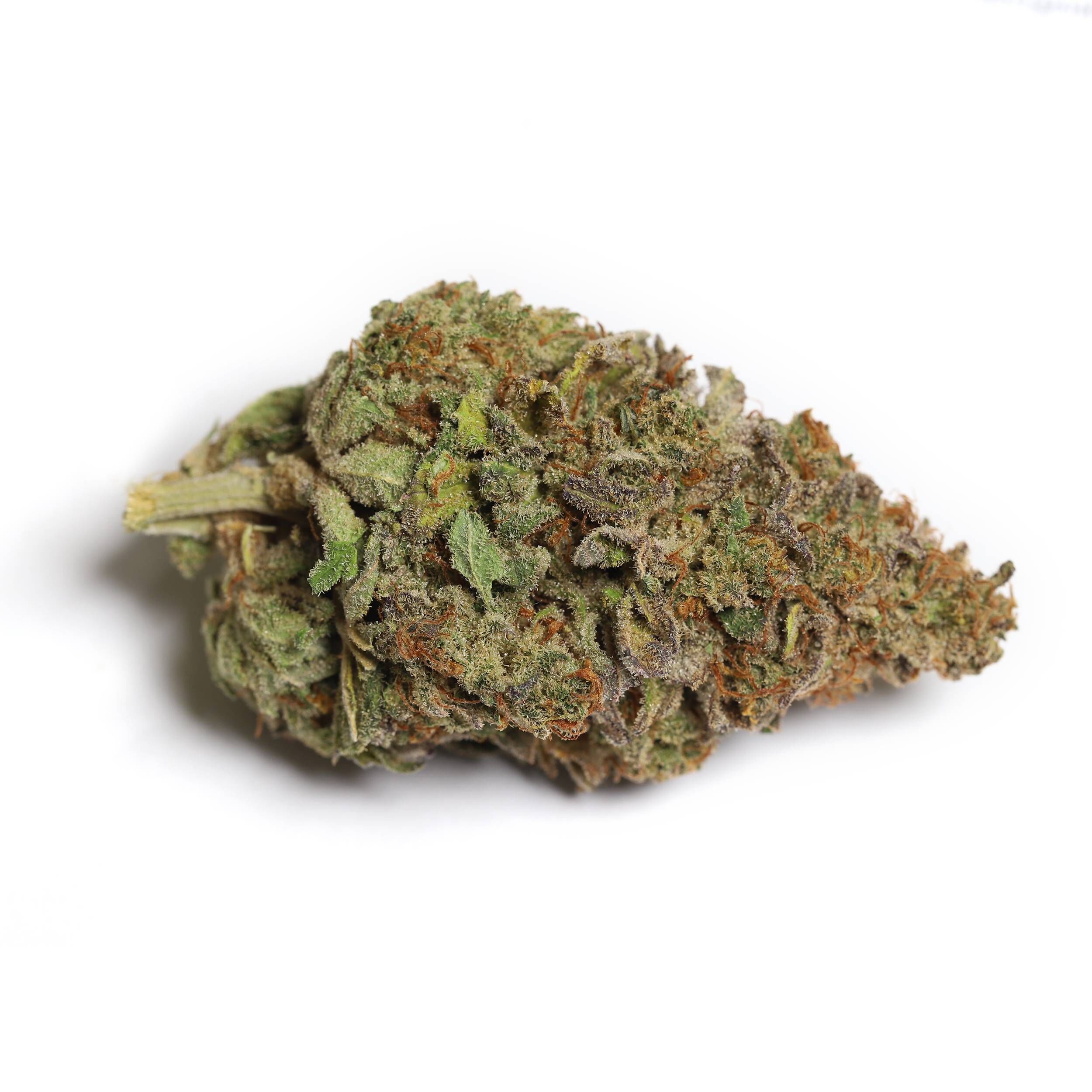 Kiwi : CALI-O