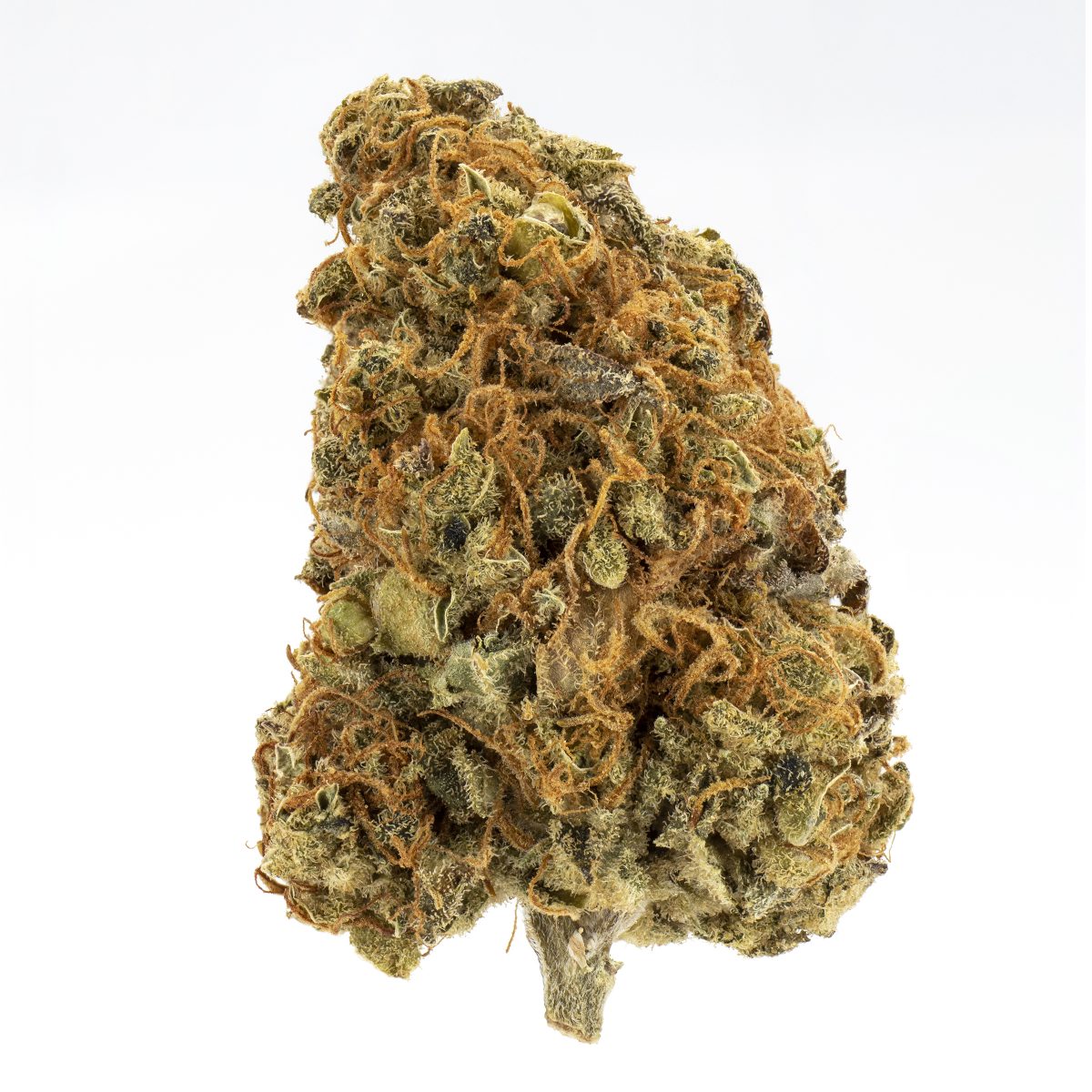 Reef Organic - Coastal Kush - Cold Creek Kush - Indica 3.5G