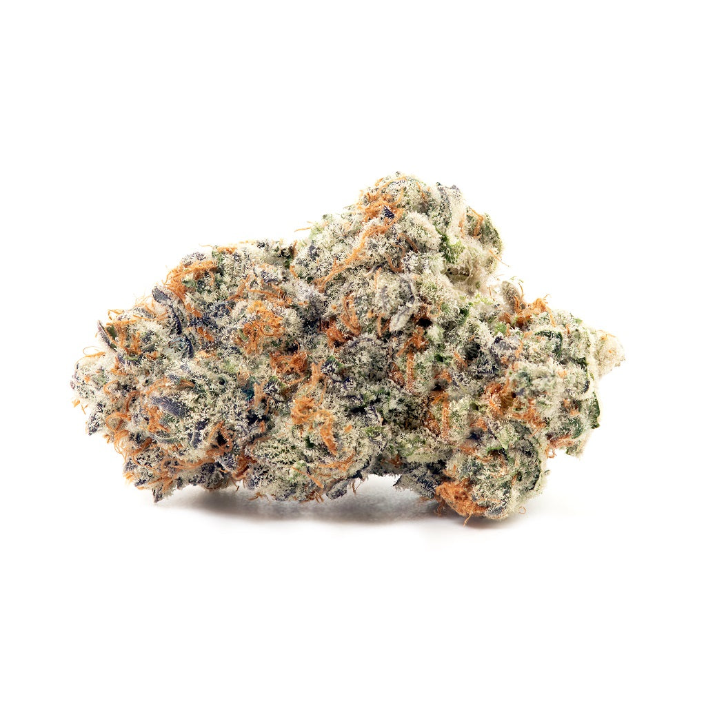 TENZO : ORANGEADE