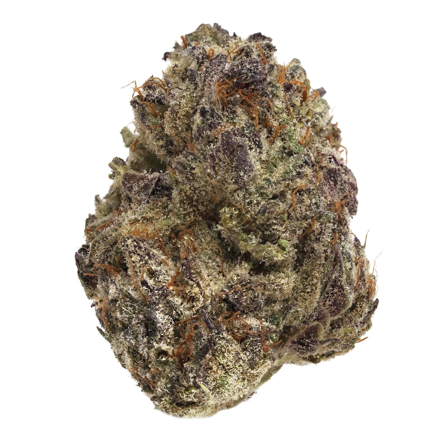 Peers : GSC
