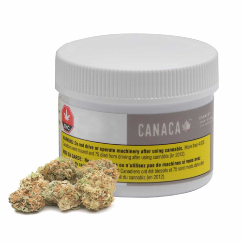 Canaca : SENSI STAR