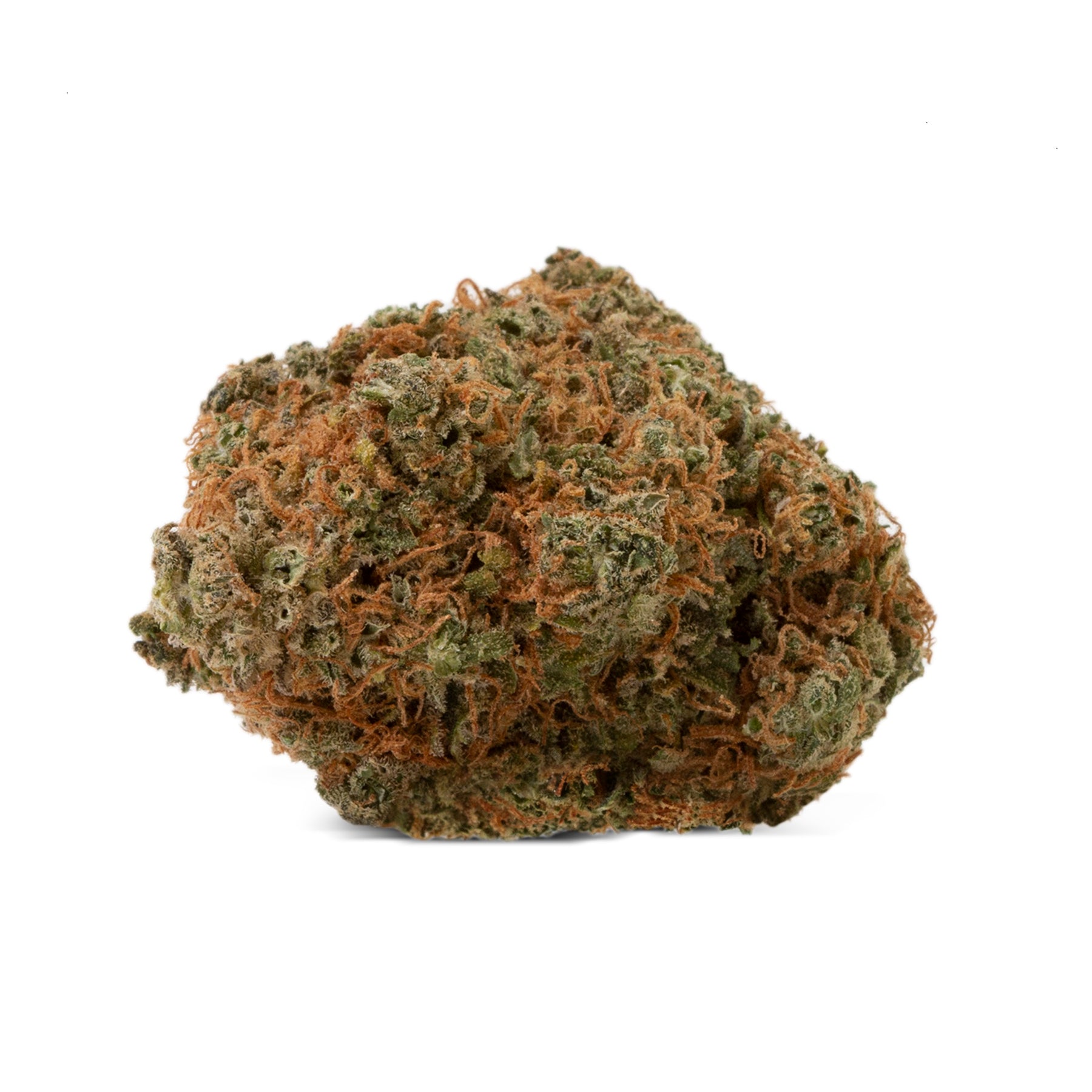TWD : BLUE DREAM