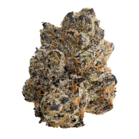 The Loud Plug : Cherry Diesel