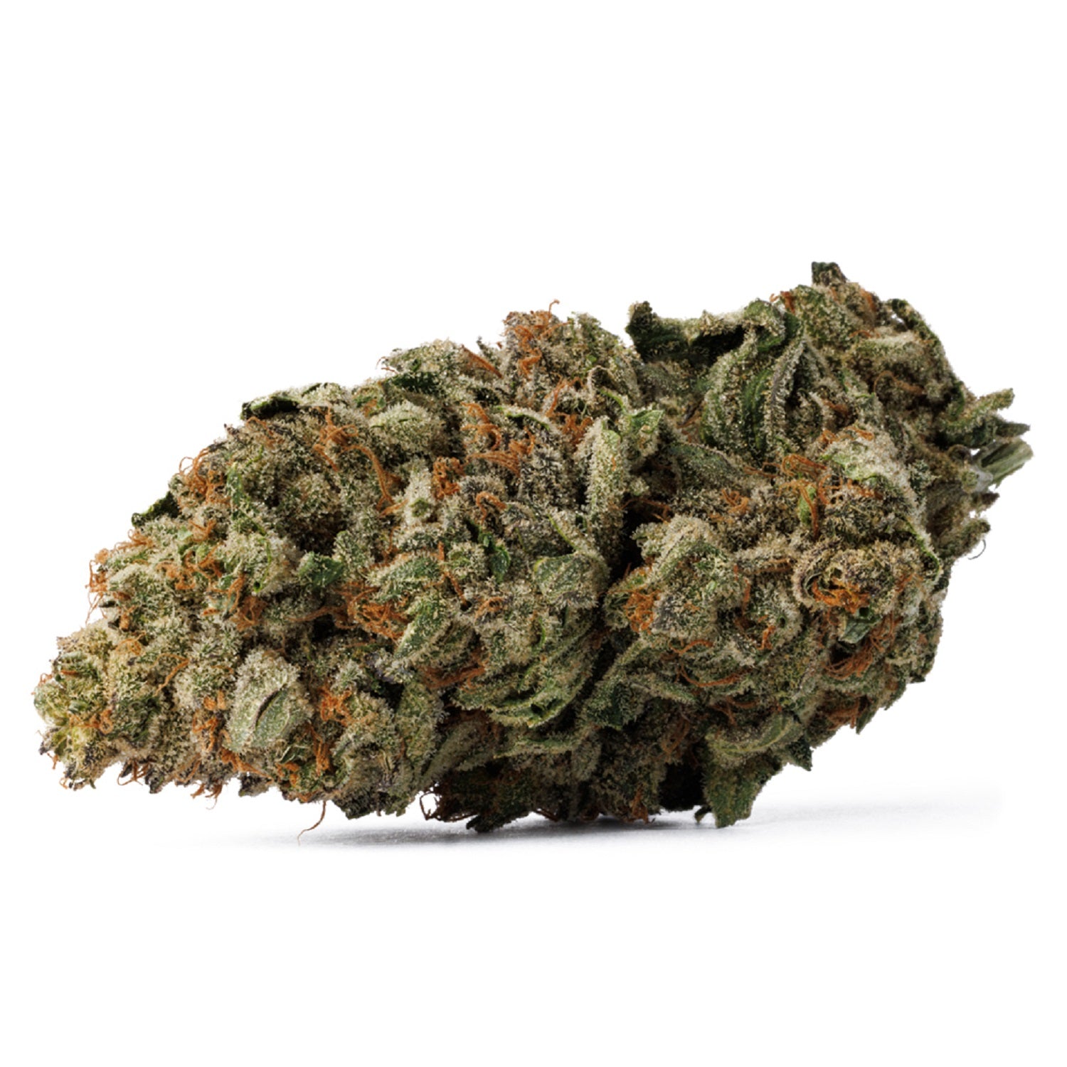 CRUUZY : MEDELLIN