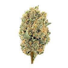 Up Cannabis Inc. : GRACE