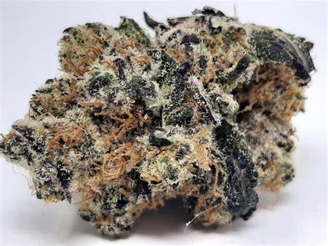 Distinkt : CACTUS BREATH (KOOTENAY CUT)