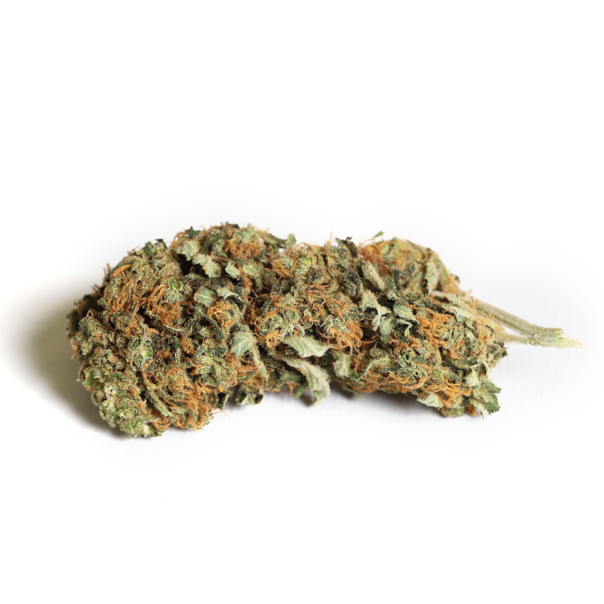 KIWI CANNABIS : MANGO HAZE