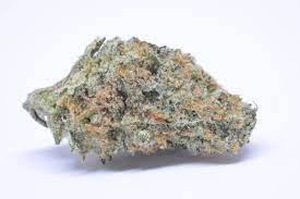 Vertical Cannabis : KENT COUNTY KUSH