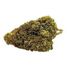 Haven St. : NO. 504 HANNA HAZE