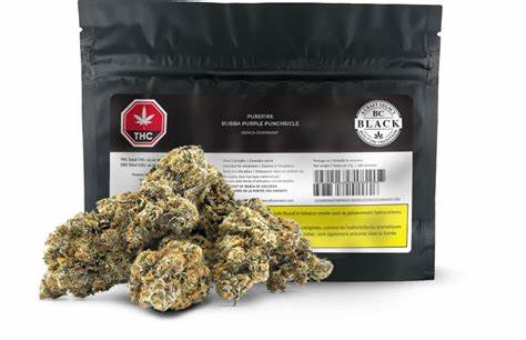 BC Black : PUREFIRE BUBBA PURPLE PUNCHSICLE
