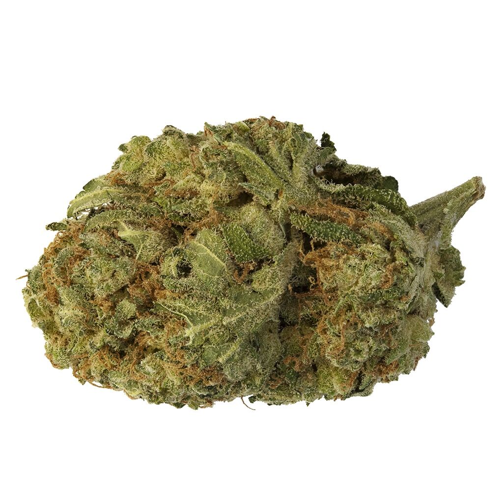 48NORTH : PARIS OG