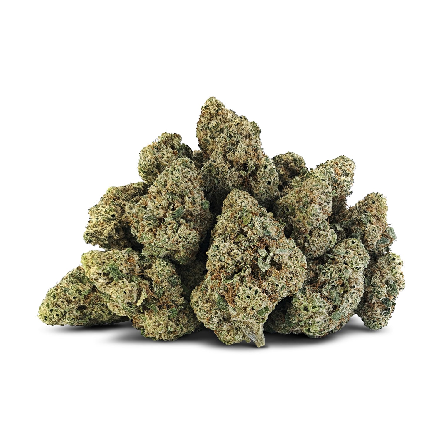 Bc Oz - Holy Gmoly - 28G