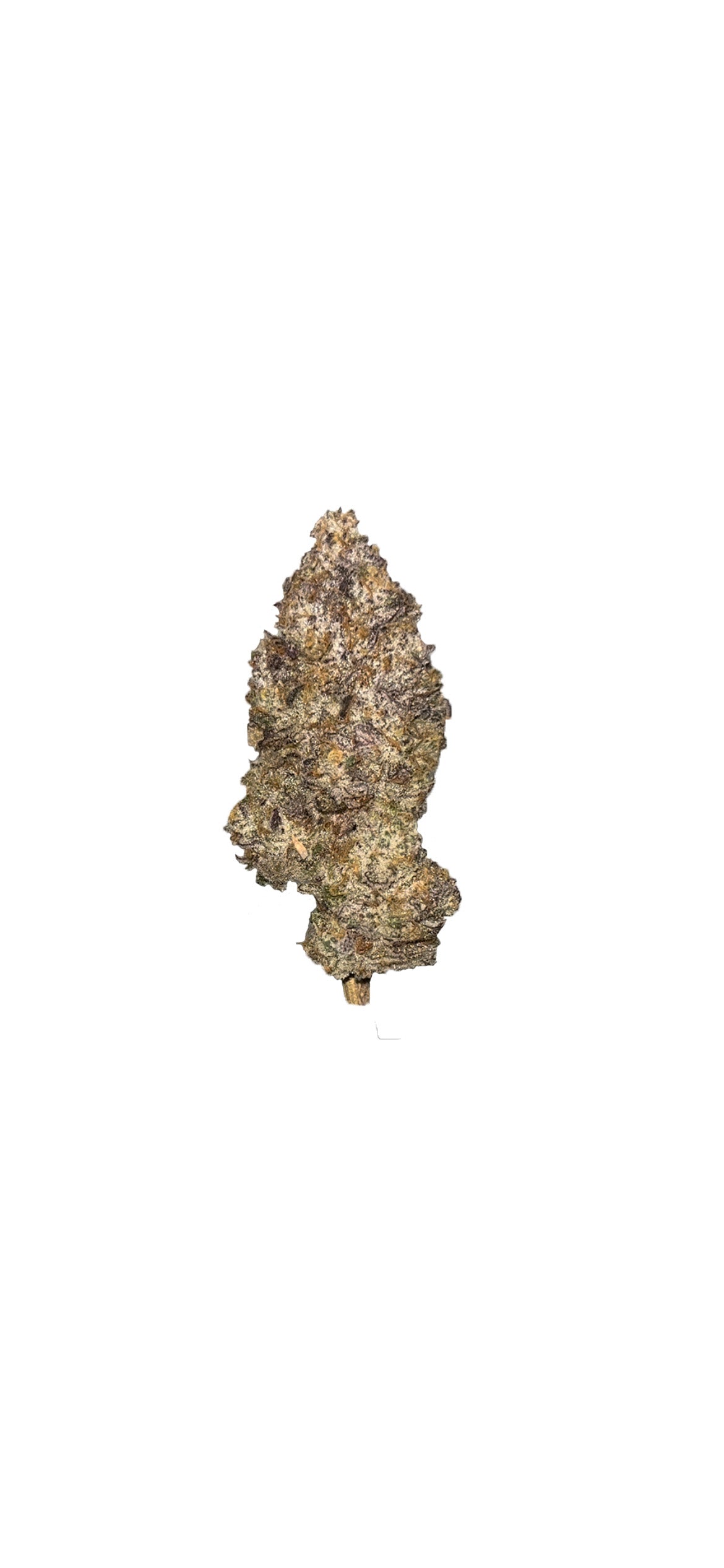 Jbuds Craft Cannabis : Sour Dragon Lto