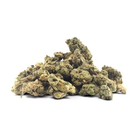 Bc Oz - Creme Brulee Craft Flower -  Indica 28G