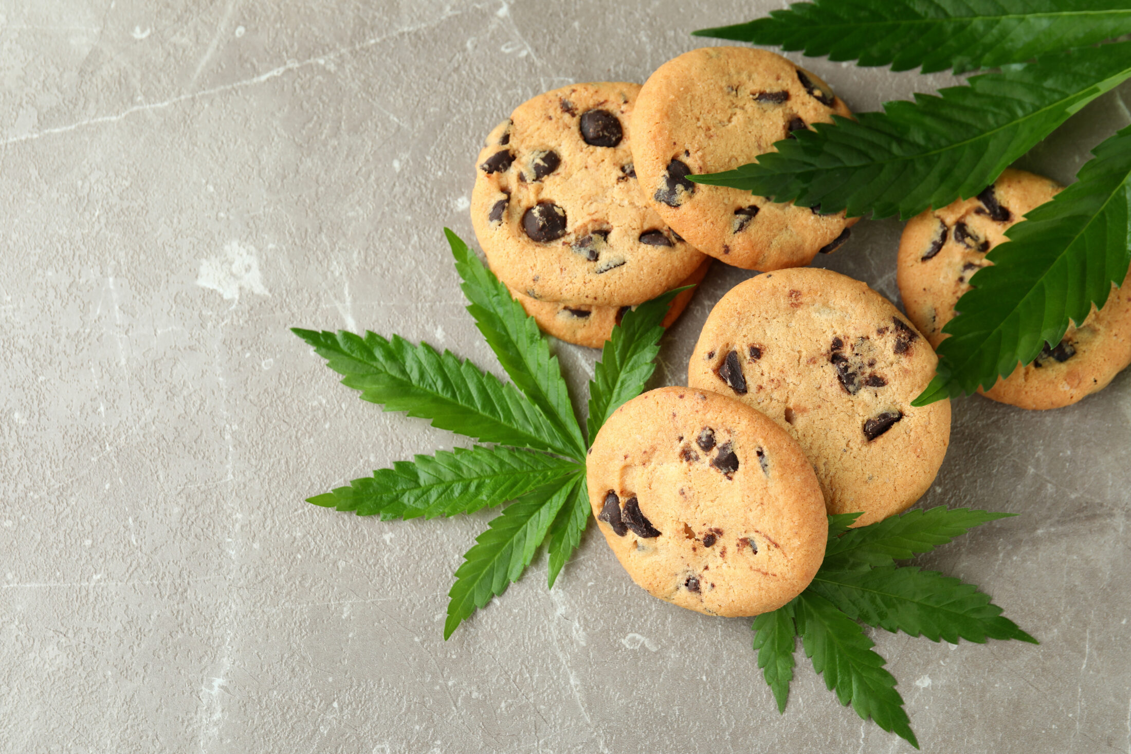 Cannabis infused edibles and leaves on gray textured table