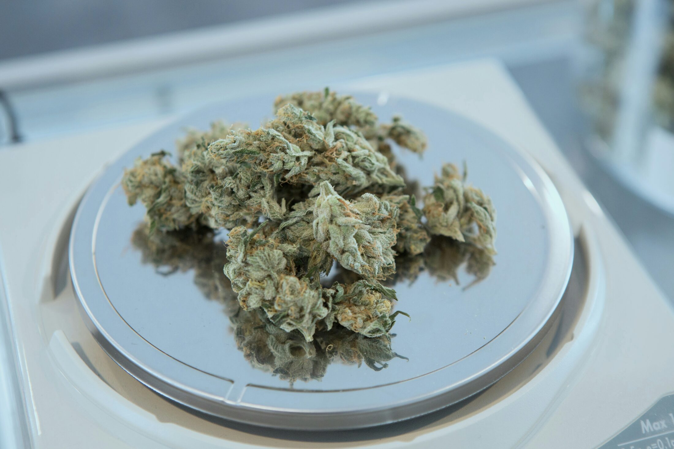 a plate of weed cannabis